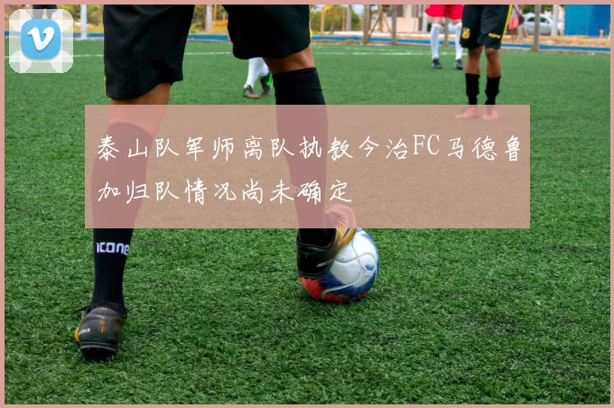 泰山队军师离队执教今治FC马德鲁加归队情况尚未确定